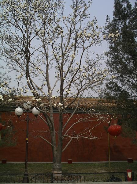 China 2010 269.JPG